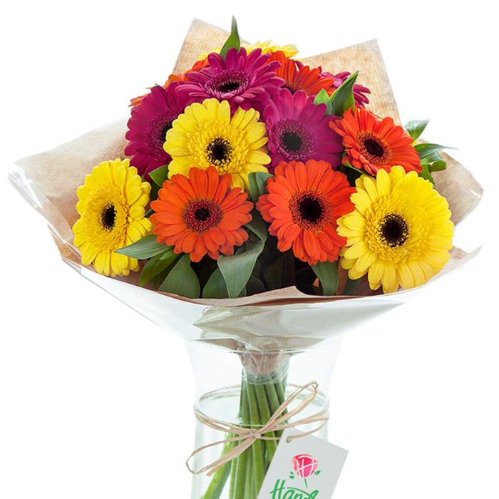 Set before a serene white background, this stunning bouquet by Abbey Wood Florist brings together the bold, happy faces of Gerbera daisies in a composition that echoes the wide-open greens of Bostall Heath. The flowers, arranged in a gently curved glass vase, display their layered petals in hues of glowing yellow, vibrant orange, and regal magenta, each with a pronounced dark centre marking the heart of the bloom. Lush greenery interspersed throughout provides contrast, making each colour sing. The arrangement is thoughtfully wrapped in a slightly crinkled kraft paper sheet then layered with a clear cellophane sleeve, the textures catching the soft indoor light. Fresh, sturdy stems can be seen through the clear water in the vase, signifying quality and care from selection to display. A length of rustic natural twine is tied in a decorative wrap inside the vase, and from its knot hangs a white tag printed with a line-drawn rose, an understated nod to craftsmanship. Ideal for celebrations, welcome gestures, or simply infusing Abbey Wood's homes with colour and joy, this arrangement captures the local florist's artistry and the natural bounty of SE2's verdant surroundings.